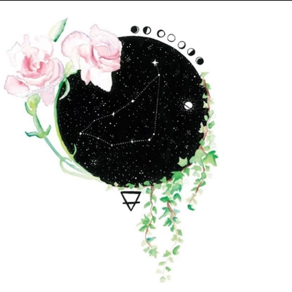 Meet your Posher, Dee - Picture 2 of 2